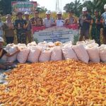 Panen Jagung Bersama Forkopimcam Di PT SMS, Kapolsek Pangkalan Balai : Wujudkan Swasembada Pangan Nasional