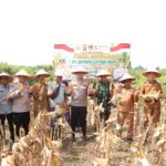 Kolaborasi Polres Banyuasin-PT SLJ Sukses Panen Jagung, Kapolres Tekankan Keberlanjutan