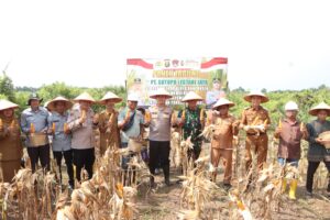 Kolaborasi Polres Banyuasin-PT SLJ Sukses Panen Jagung, Kapolres Tekankan Keberlanjutan