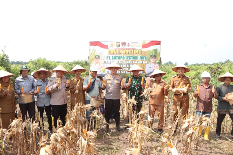 Kolaborasi Polres Banyuasin-PT SLJ Sukses Panen Jagung, Kapolres Tekankan Keberlanjutan